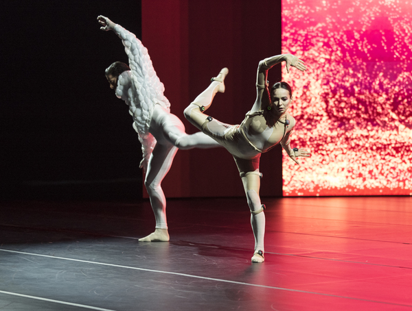 Review: SLEEPING BEAUTY DREAMS at The Beacon Theatre is a High-Tech Futuristic Fantasy Image