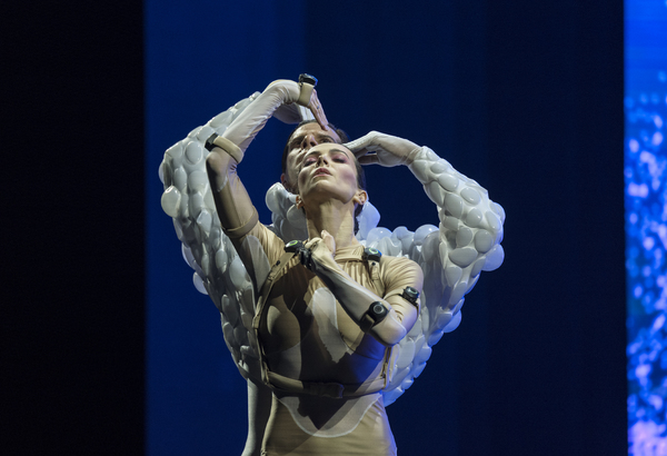 Review: SLEEPING BEAUTY DREAMS at The Beacon Theatre is a High-Tech Futuristic Fantasy 