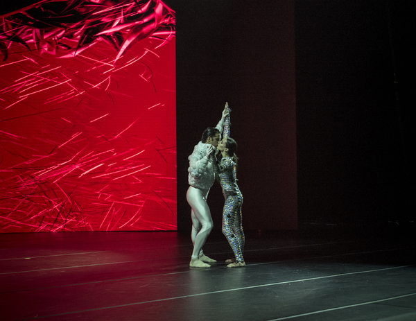 Review: SLEEPING BEAUTY DREAMS at The Beacon Theatre is a High-Tech Futuristic Fantasy Image