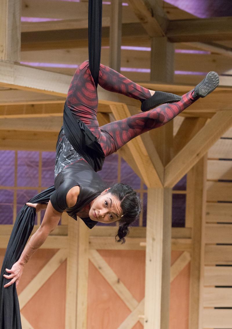 Review: CHARLOTTE'S WEB at ARDEN THEATRE COMPANY is 'Some Play' Image