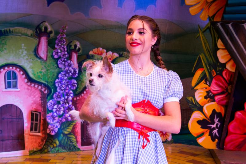 Review: THE WONDERFUL WINTER OF OZ, Presented By The Lythgoe Family Panto, Scores Another 100% Entertainment Mark For The Holidays At Pasadena Civic Auditorium 