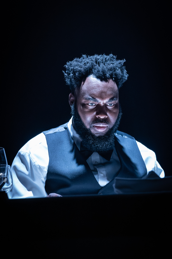 Photo Flash: First Look at PINTER FIVE and PINTER SIX Image