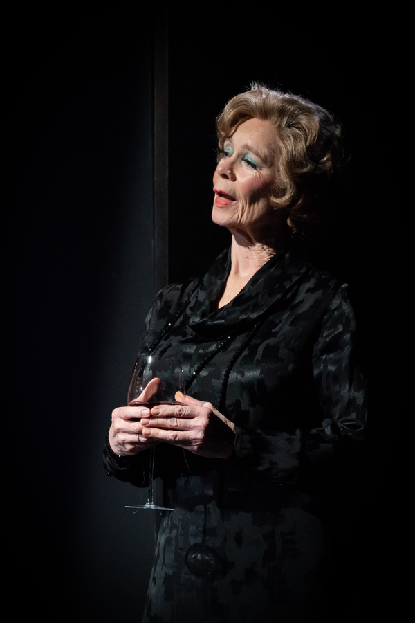 Photo Flash: First Look at PINTER FIVE and PINTER SIX Image