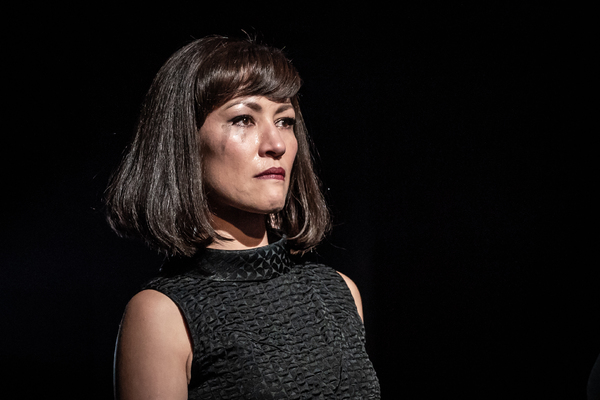 Photo Flash: First Look at PINTER FIVE and PINTER SIX Image