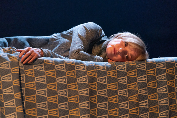Photo Flash: First Look at PINTER FIVE and PINTER SIX Image
