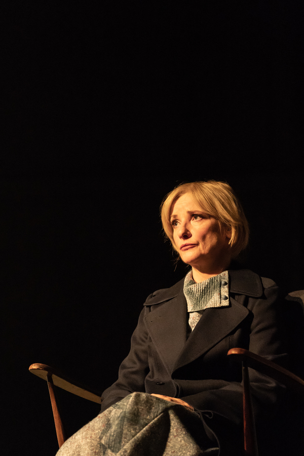 Photo Flash: First Look at PINTER FIVE and PINTER SIX Image