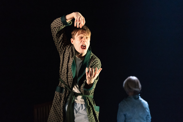 Photo Flash: First Look at PINTER FIVE and PINTER SIX Image