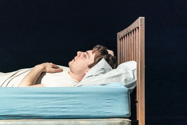 Photo Flash: First Look at PINTER FIVE and PINTER SIX Image