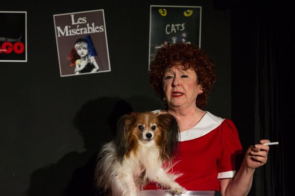 Photo Flash: Laguna Playhouse Presents FORBIDDEN BROADWAY Image