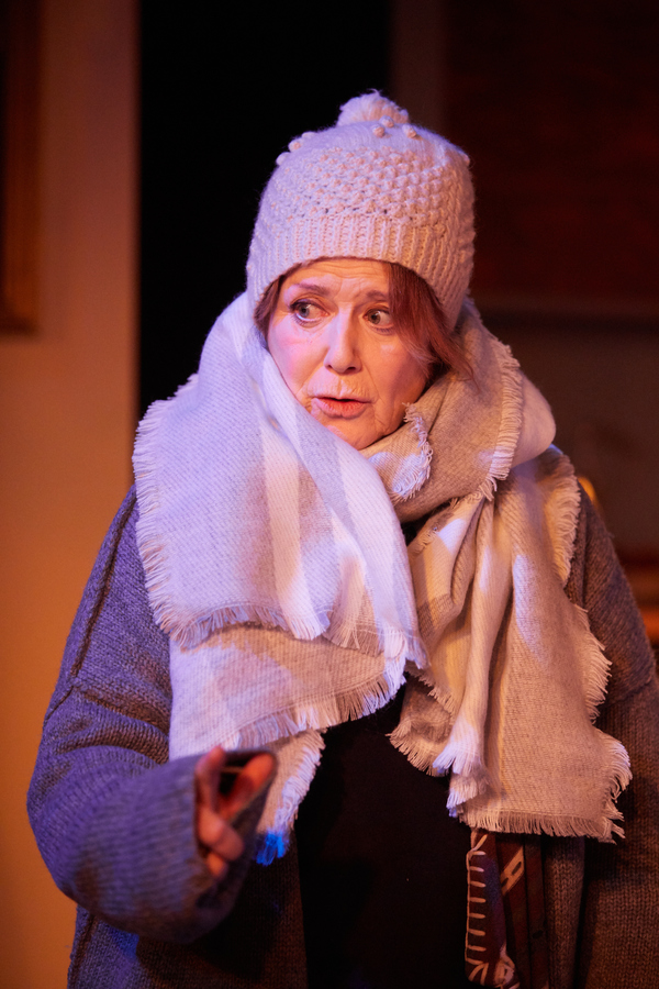 Photo Flash: First Look at Park Theatre's ROSENBAUM'S RESCUE Image