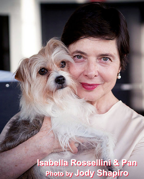 Interview: Isabella Rossellini Exploring LINKs, PORNO & a Masters Image