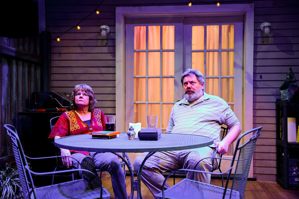 Photo Flash: Shattered Globe Theatre and Theater Wit Presents THE REALISTIC JONESES Image