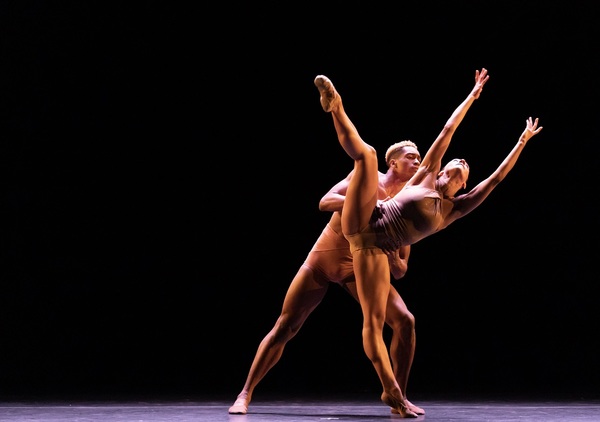 Photo Flash: Inside The Joyce's Benefit for the NYC Dance Alliance Foundation Image