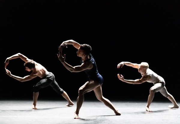 Photo Flash: Inside The Joyce's Benefit for the NYC Dance Alliance Foundation Image