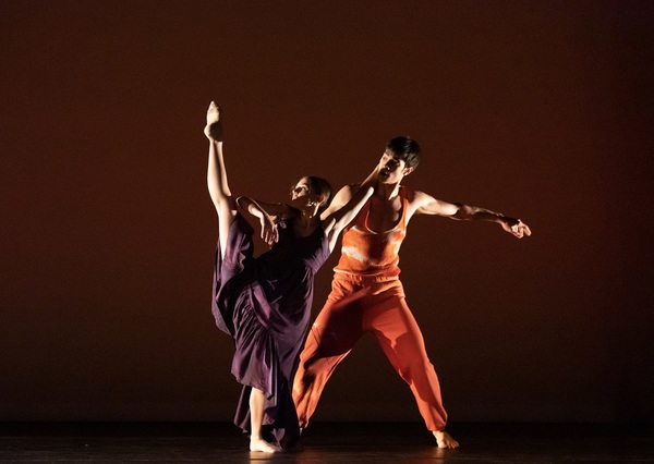 Photo Flash: Inside The Joyce's Benefit for the NYC Dance Alliance Foundation Image