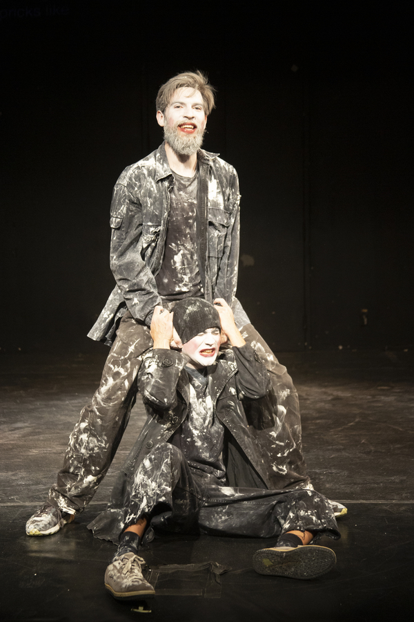 Photo Flash: THIS IS NOT HAMLET At The 35th Annual Directors Festival Image