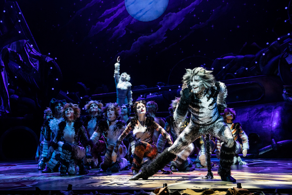 Exclusive Photos: Get A First Look At CATS on Tour! Image