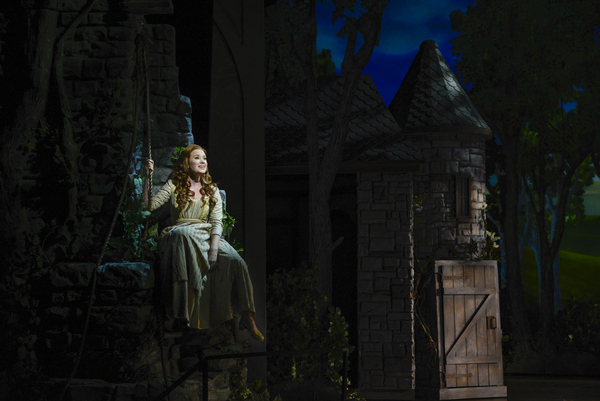 Photo Flash: First Look at the Magical Premiere of EVER AFTER Image