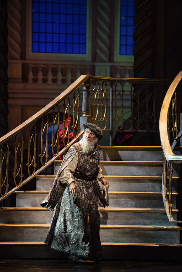 Photo Flash: First Look at the Magical Premiere of EVER AFTER Image