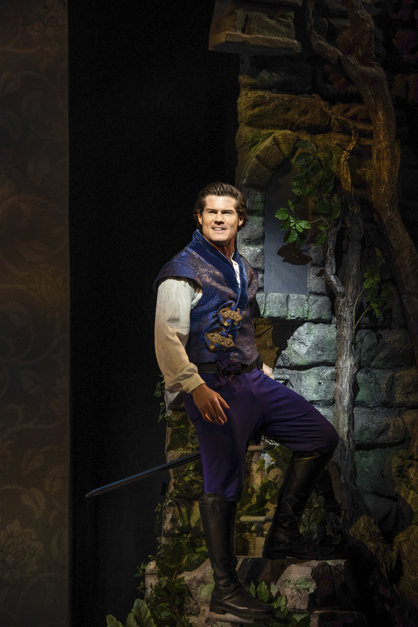 Photo Flash: First Look at the Magical Premiere of EVER AFTER Image