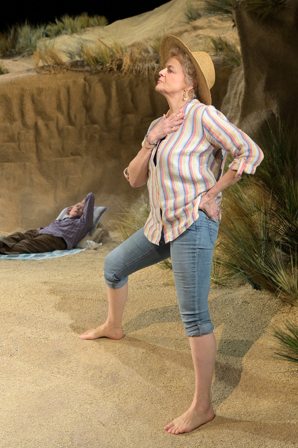 Photo Flash: First Look at SEASCAPE at A.C.T.'s Geary Theater Image