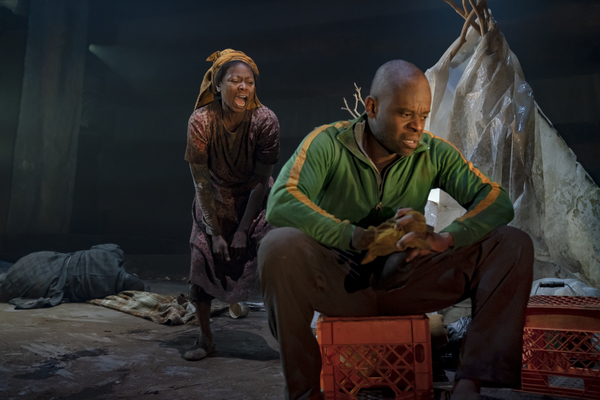 Photo Flash: First Look at Signature's BOESMAN AND LENA Image
