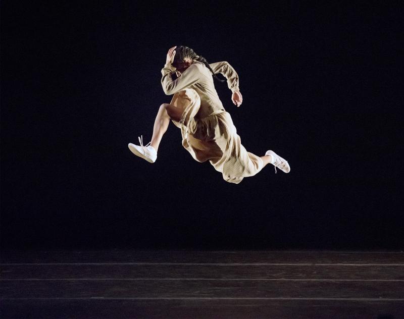 Review: ALVIN AILEY AMERICAN DANCE THEATER Once Again Wows in DC Image