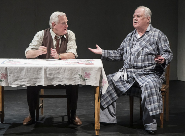 Photo Flash: First Look at Ensemble Theatre Company's DEATH OF A SALESMAN Image