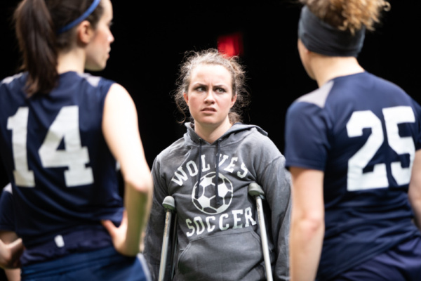 Photo Flash: First Look At Flint Repertory Theatre's THE WOLVES Image