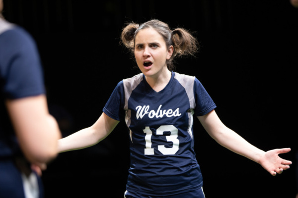 Photo Flash: First Look At Flint Repertory Theatre's THE WOLVES Image