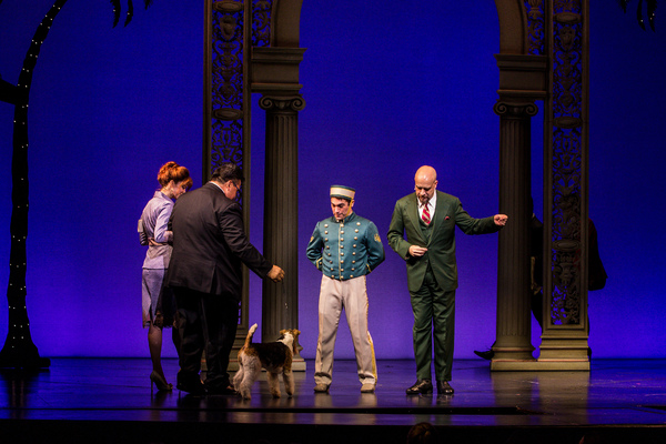 Photo Coverage: Westminster Dog Show Winner Makes Broadway Debut in PRETTY WOMAN Image