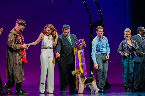 Photo Coverage: Westminster Dog Show Winner Makes Broadway Debut in PRETTY WOMAN Image