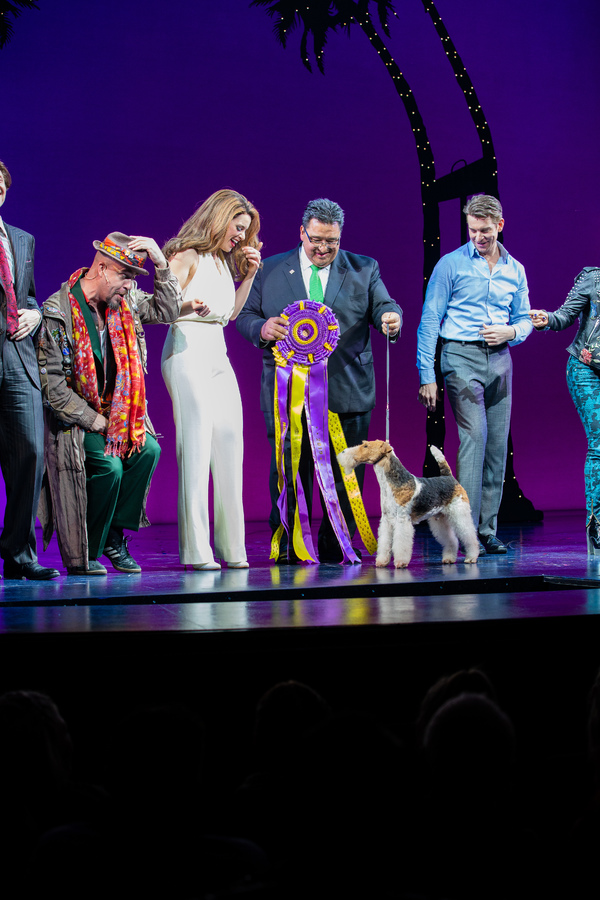 Photo Coverage: Westminster Dog Show Winner Makes Broadway Debut in PRETTY WOMAN Image