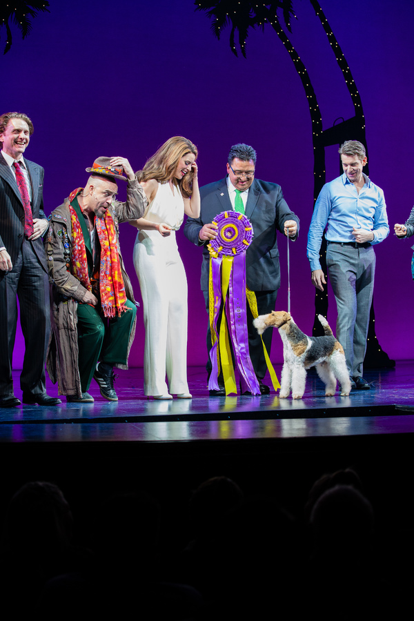 Photo Coverage: Westminster Dog Show Winner Makes Broadway Debut in PRETTY WOMAN Image