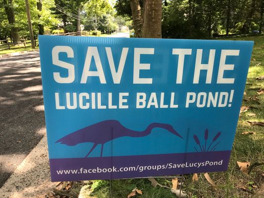 Feature: THE GARDEN STATE LOVES LUCY! Image