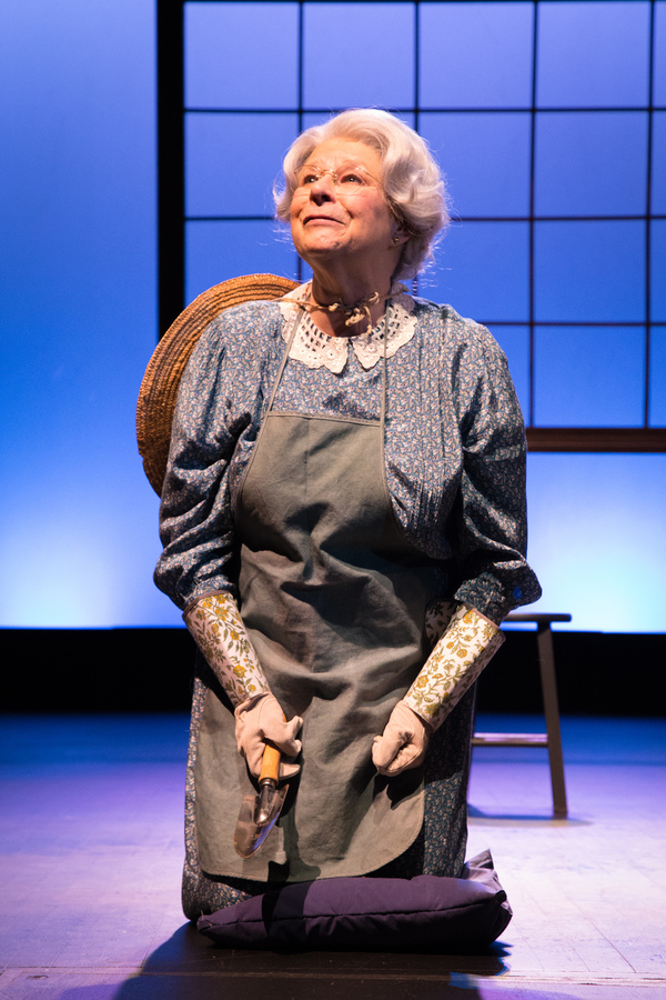 Photo Flash: Georgia Ensemble Theatre Presents DRIVING MISS DAISY Image