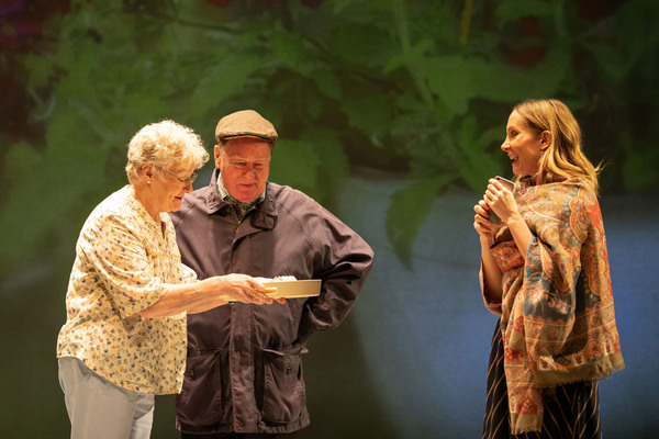 Photo Flash: First Look at ALYS, ALWAYS at the Bridge Theatre Image
