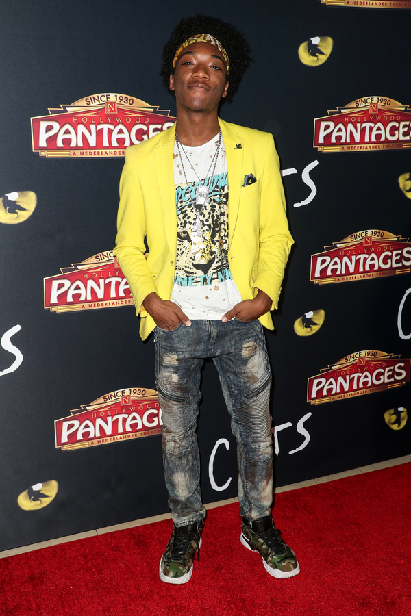 Photo Flash: On The Opening Night Red Carpet of CATS at the Pantages Image