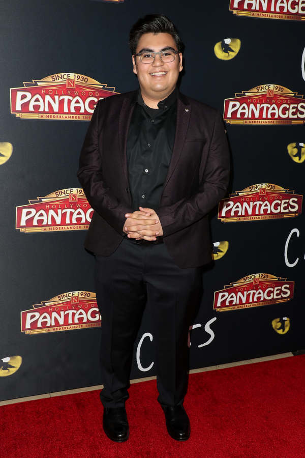 Photo Flash: On The Opening Night Red Carpet of CATS at the Pantages Image