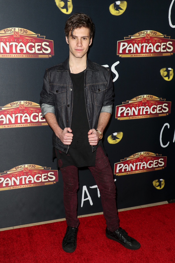 Photo Flash: On The Opening Night Red Carpet of CATS at the Pantages  Image