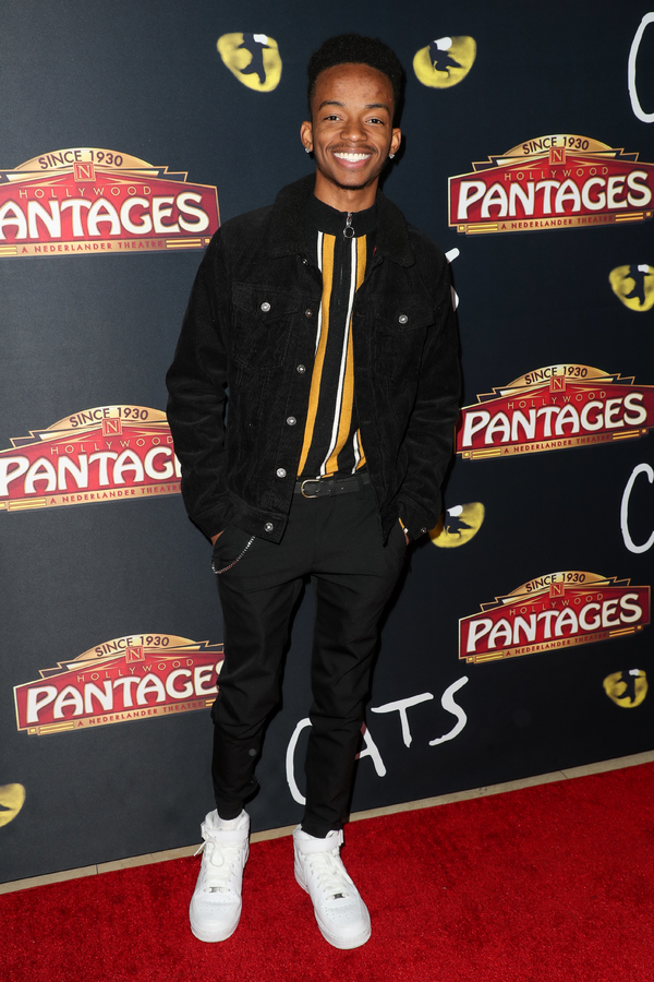 Photo Flash: On The Opening Night Red Carpet of CATS at the Pantages Image