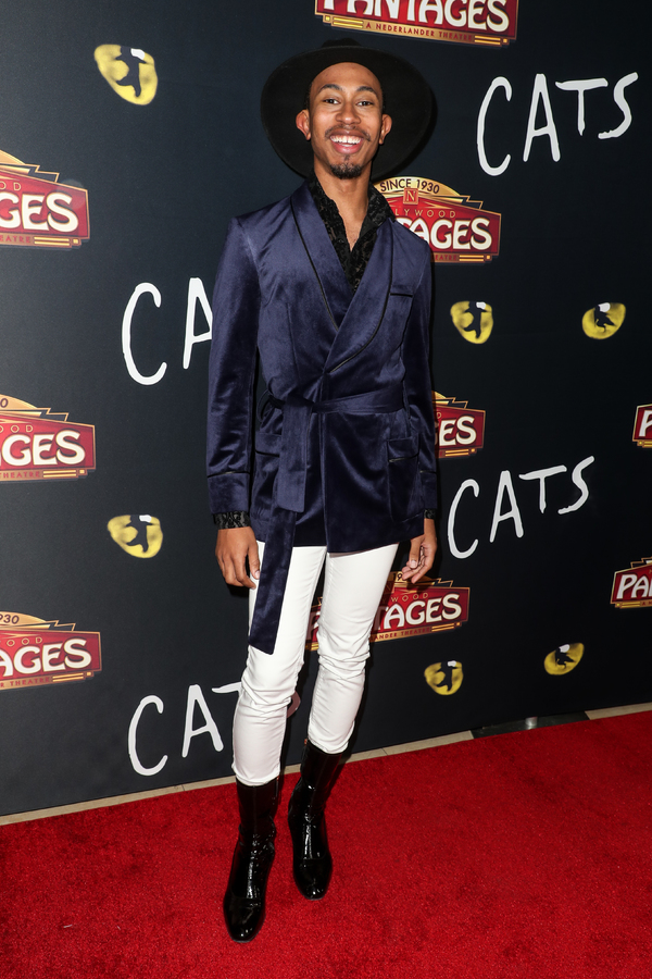 Photo Flash: On The Opening Night Red Carpet of CATS at the Pantages Image