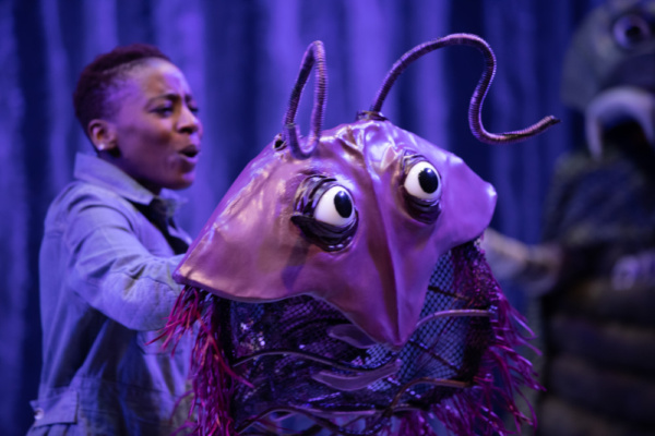 Photo Flash: First Look At Flint Repertory Theatre & CollaborationTown's RIDDLE OF THE TRILOBITES Image
