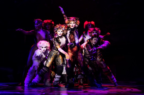 Review: The CATS Phenomenon Continues at the Hollywood Pantages 