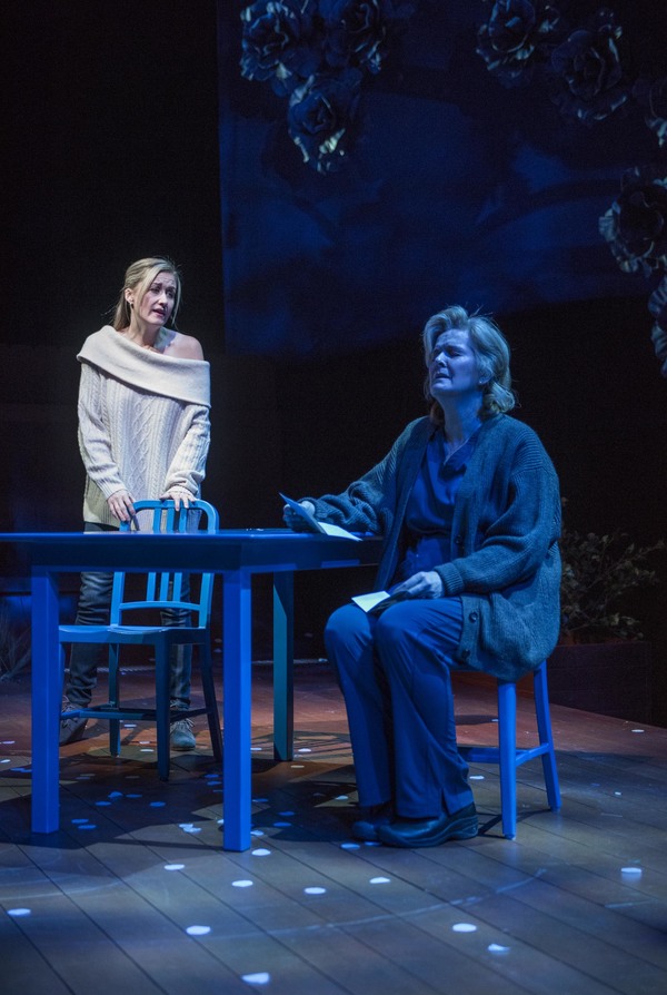 Photo Flash: Milwaukee Repertory Theater Presents American Premiere of THINGS I KNOW TO BE TRUE  Image