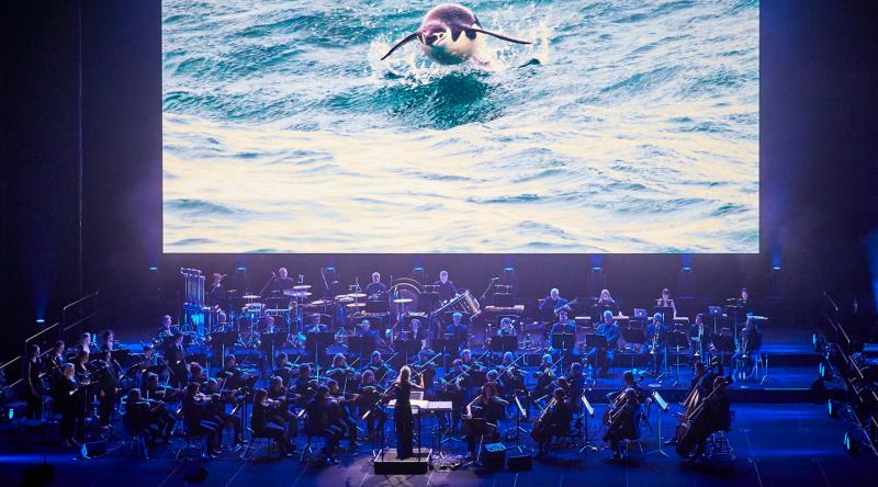 Review: BLUE PLANET II LIVE IN CONCERT Is A Brilliant Pairing Of Sydney Symphony Orchestra With The BBC's Famous Nature Show, Beautifully Narrated by Joanna Lumley Image