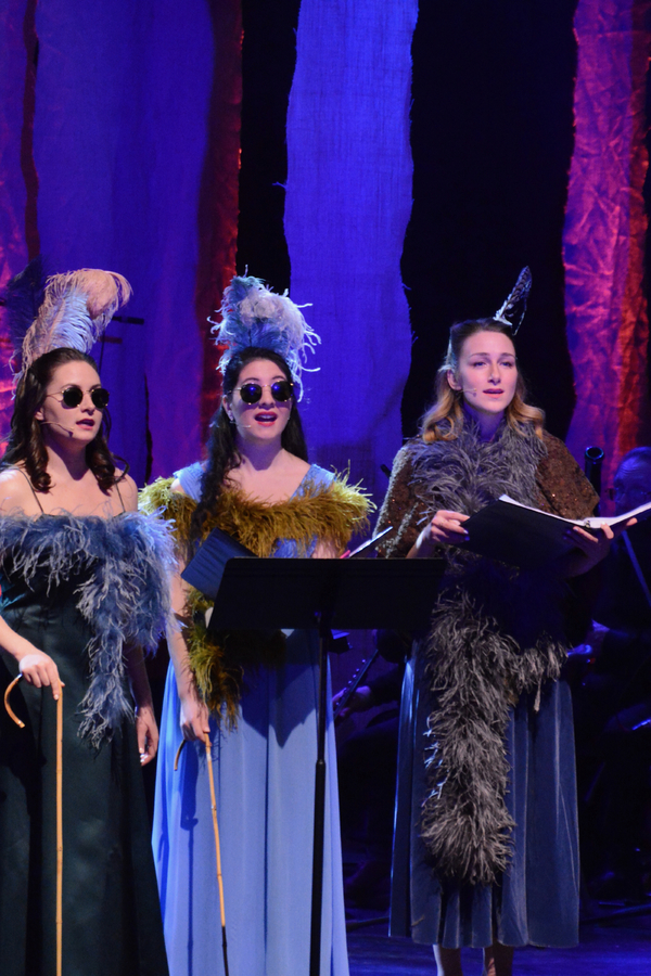 Photo Coverage: Alice Ripley, Ali Ewoldt, and More in INTO THE WOODS In Concert at The Patchogue Theatre Image