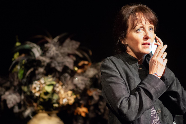 Photo Flash: First Look at the London Premiere of CARL'S STORY Image