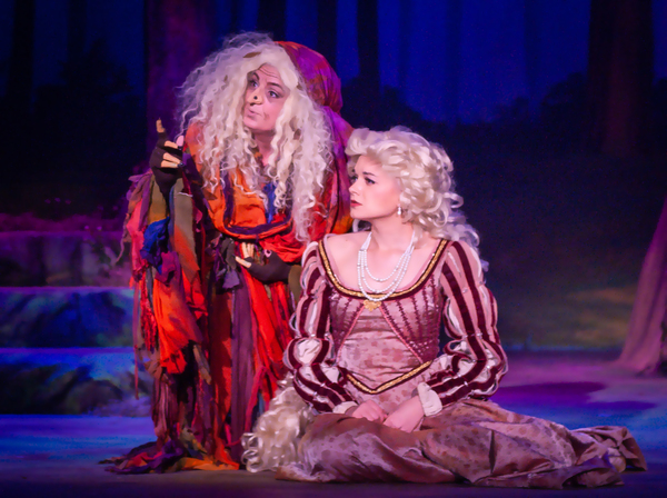 Photo Flash: Rivertown Theater's INTO THE WOODS Image