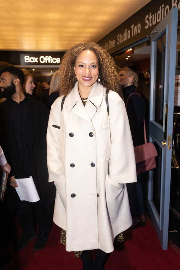 Photo Flash: The Stars Come Out for Press Night for ADMISSIONS at Trafalgar Studios Image
